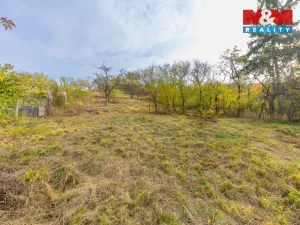 Prodej pozemku pro bydlení, Milešovice, 3385 m2