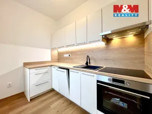 Pronájem bytu 1+1, Krnov - Pod Cvilínem, Svatováclavská, 35 m2