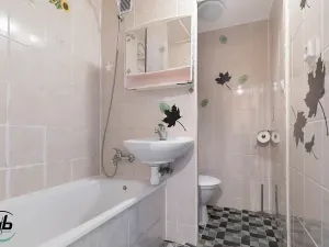 Prodej bytu 1+1, Frýdek-Místek, Ostravská, 27 m2