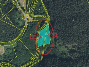 Prodej lesa, Chocnějovice, 2953 m2