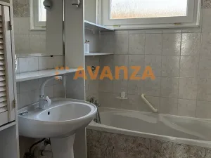 Pronájem rodinného domu, Děčín, Štursova, 170 m2