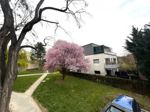 Pronájem bytu 3+1, Brno - Komín, Vrbenského, 64 m2