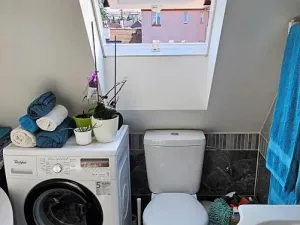 Pronájem bytu 2+kk, Brno - Černovice, Řehořova, 26 m2