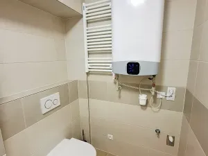 Pronájem bytu 1+kk, Praha - Vinohrady, Máchova, 29 m2