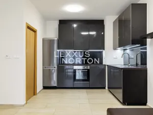 Pronájem bytu 2+kk, Praha - Bubeneč, Mlýnská, 47 m2