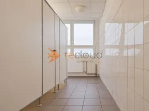 Pronájem kanceláře, České Budějovice - České Budějovice 3, K. Světlé, 35 m2