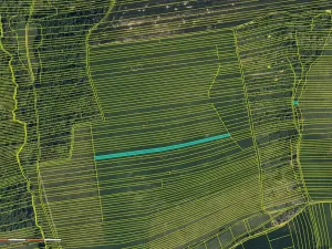 Prodej pole, Hradčovice, 2918 m2