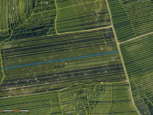 Prodej pole, Hradčovice, 4889 m2