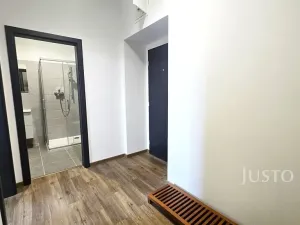 Pronájem bytu 1+kk, Písek, Vladislavova, 40 m2