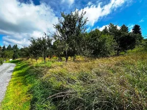 Prodej pozemku pro bydlení, Životice u Nového Jičína, 2065 m2