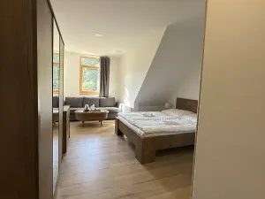 Prodej bytu 1+kk, Horní Lhota, 20 m2