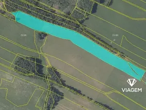 Prodej podílu pole, Šluknov, 4140 m2