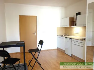 Pronájem bytu 1+kk, Praha - Vršovice, náměstí Svatopluka Čecha, 33 m2