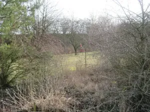 Dražba pole, Měrovice nad Hanou, 1943 m2