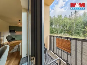 Prodej bytu 2+kk, Černý Důl, 42 m2