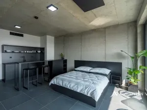 Pronájem bytu 1+kk, Brno, Královopolská, 42 m2