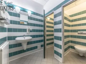 Pronájem rodinného domu, Mladá Boleslav - Čejetice, Koněvova, 296 m2