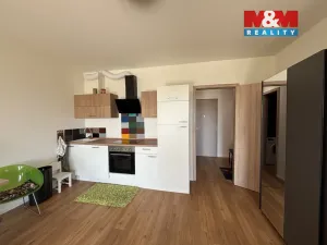 Pronájem bytu 1+kk, Brandýs nad Labem-Stará Boleslav - Brandýs nad Labem, Dřevčická, 46 m2