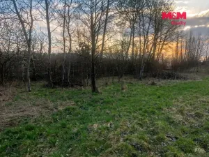 Prodej louky, Horní Suchá, 1524 m2