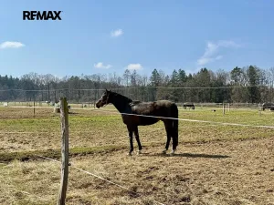 Prodej pozemku, Spálené Poříčí, 166477 m2