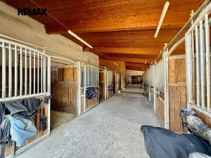 Prodej pozemku, Spálené Poříčí, 166477 m2