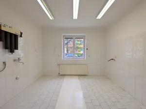 Pronájem obchodního prostoru, Brno, Tyršova, 120 m2