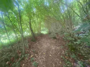 Prodej pozemku, Mladkov, 1004 m2