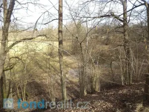 Prodej pozemku, Novosedly nad Nežárkou, 22234 m2