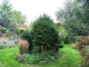 Prodej chalupy, Klučenice, 166 m2