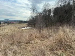 Prodej komerční nemovitosti, Jedlová, 1346 m2