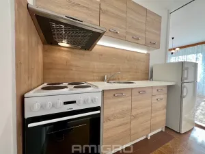 Prodej bytu 2+kk, Brno, Labská, 45 m2