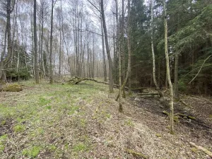 Prodej pozemku, Volfířov - Brandlín, 5958 m2