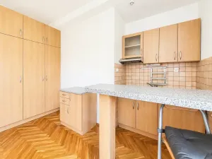 Pronájem bytu 1+kk, Praha - Žižkov, Biskupcova, 30 m2