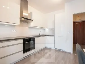 Pronájem bytu 1+kk, Beroun, Na Veselou, 44 m2