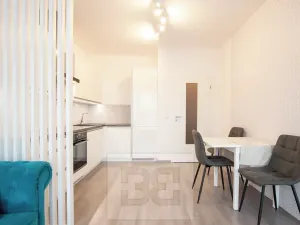 Pronájem bytu 1+kk, Beroun, Na Veselou, 44 m2
