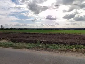 Prodej pole, Žerčice, 5185 m2