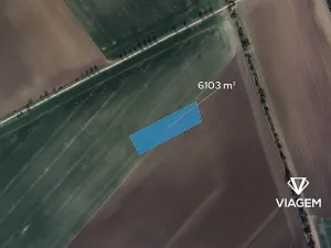 Prodej podílu pole, Třibřichy, 381 m2