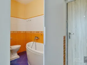 Prodej bytu 1+1, Ústí nad Labem, Šípková, 34 m2