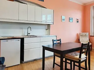 Pronájem bytu 1+kk, Praha - Libeň, Davídkova, 27 m2