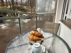 Pronájem bytu 1+kk, Jablonec nad Nisou, Erbenova, 27 m2