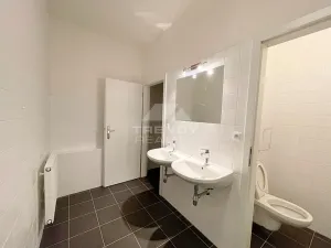 Pronájem obchodního prostoru, Plzeň, náměstí Republiky, 121 m2