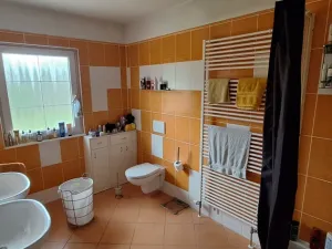 Prodej rodinného domu, Davle - Sloup, Družstevní, 158 m2