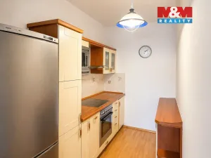 Pronájem bytu 1+kk, Praha - Podolí, Dvorecká, 50 m2