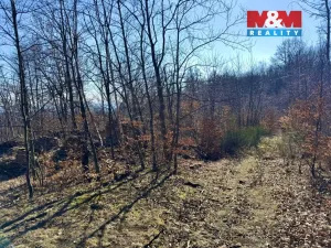 Prodej pozemku, Hrob, 443 m2