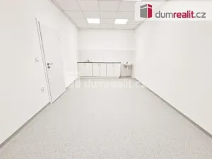 Pronájem ordinace, Most, J. A. Komenského, 40 m2