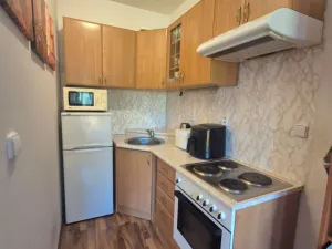 Prodej bytu 1+kk, Beroun - Beroun-Město, Nad Paloučkem, 36 m2