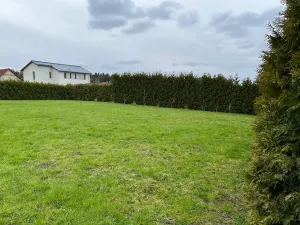 Pronájem zahrady, Svojetice, Příčná, 1033 m2