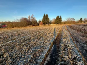Prodej pozemku pro bydlení, Velká Bukovina, 2530 m2