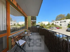 Pronájem bytu 3+kk, Brno, U Leskavy, 94 m2