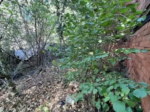 Prodej pozemku pro bydlení, Klatovy, 789 m2